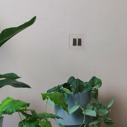 Skorter | 2G Two-way toggle switch - Clear polished nickel white