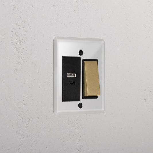 Skorter | 1G Two Way Rocker + USB A+C Slimline Switch - Clear Antique Brass Black