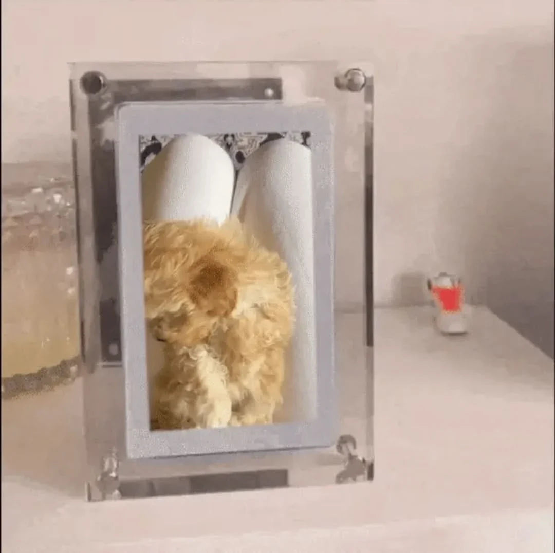 Skorter | Memory Frame | For Eternal Memories