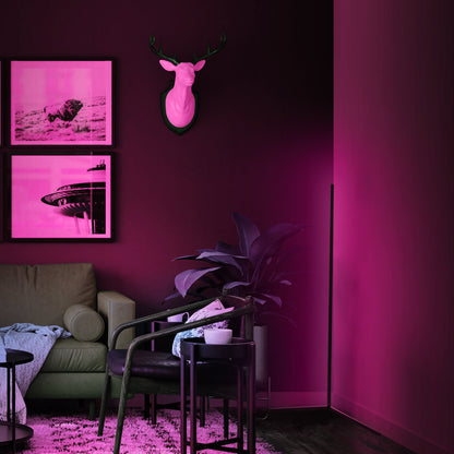 Skorter | Luminance Corner Lamp