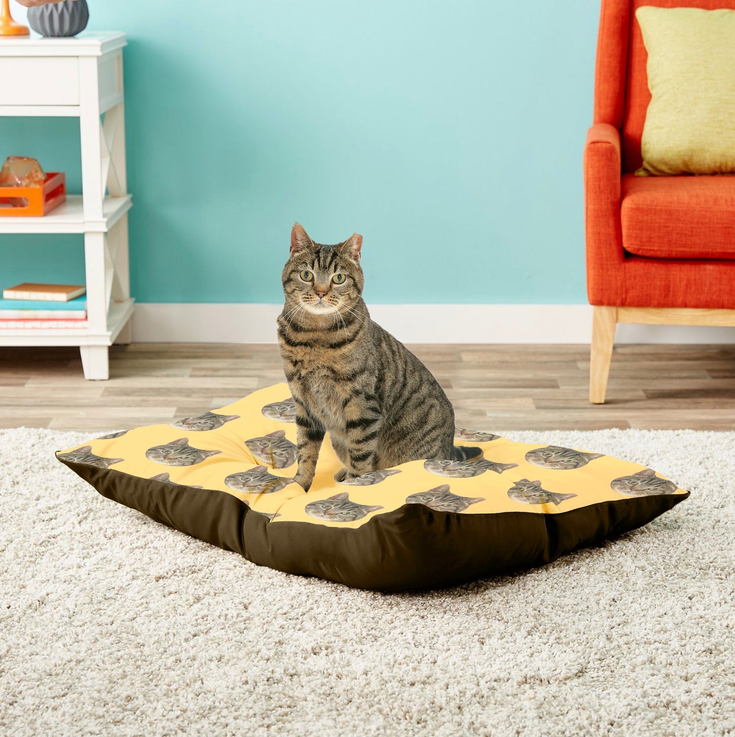 Skorter | Custom print Your pet bed