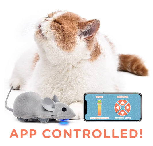 Skorter | Mouse Hunt Cat Toy, App Controlled