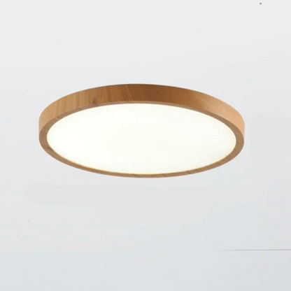 Skorter | LED Ultrathin Circular Ceiling Light Fixture - Modern Design for Living Room & Kitchen Lighting