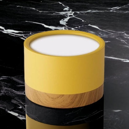 Skorter | BeamLuxe – Energy-Efficient LED Ceiling Spot in Modern Style