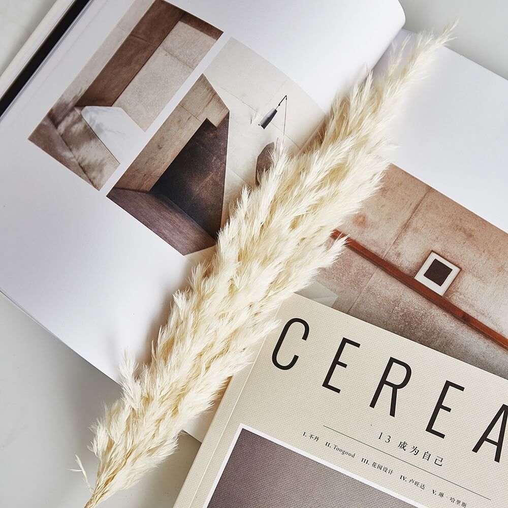 Skorter | Naturally Dried Pampas Bouquet