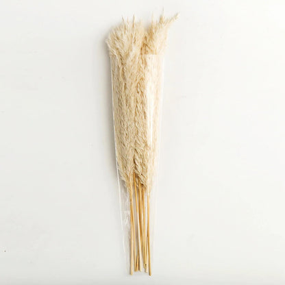 Skorter | Naturally Dried Pampas Bouquet