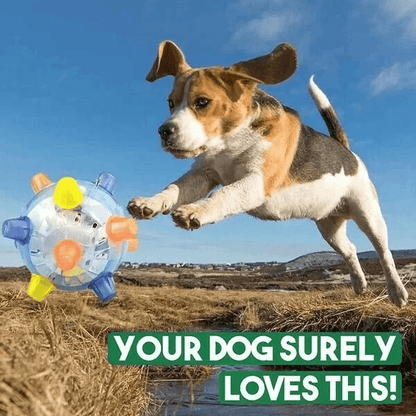 Skorter | PAWBOUNCE – Interactive LED Bouncing Ball for Dogs