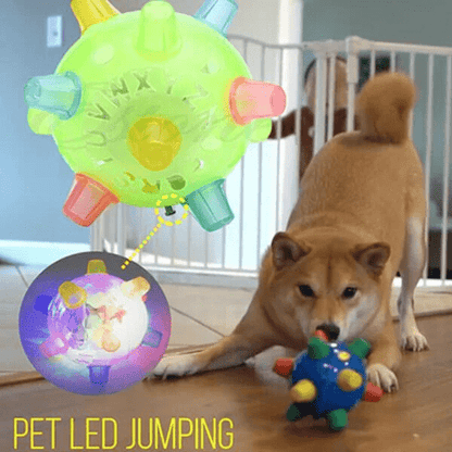 Skorter | PAWBOUNCE – Interactive LED Bouncing Ball for Dogs