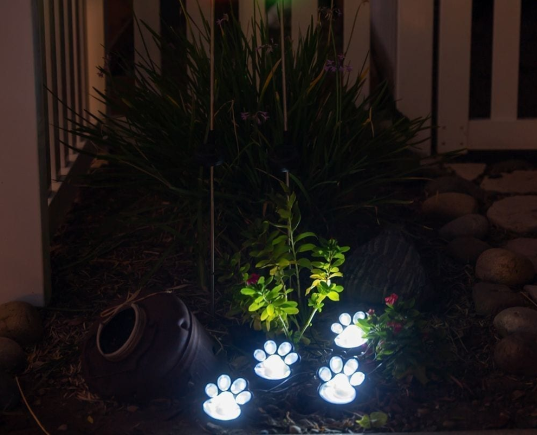 Skorter | Pawlight - Solar Garden Lighting
