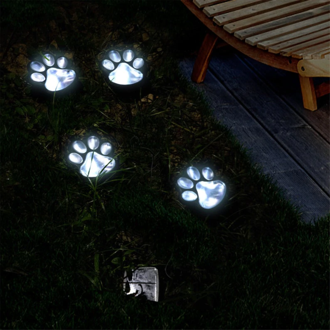 Skorter | Pawlight - Solar Garden Lighting