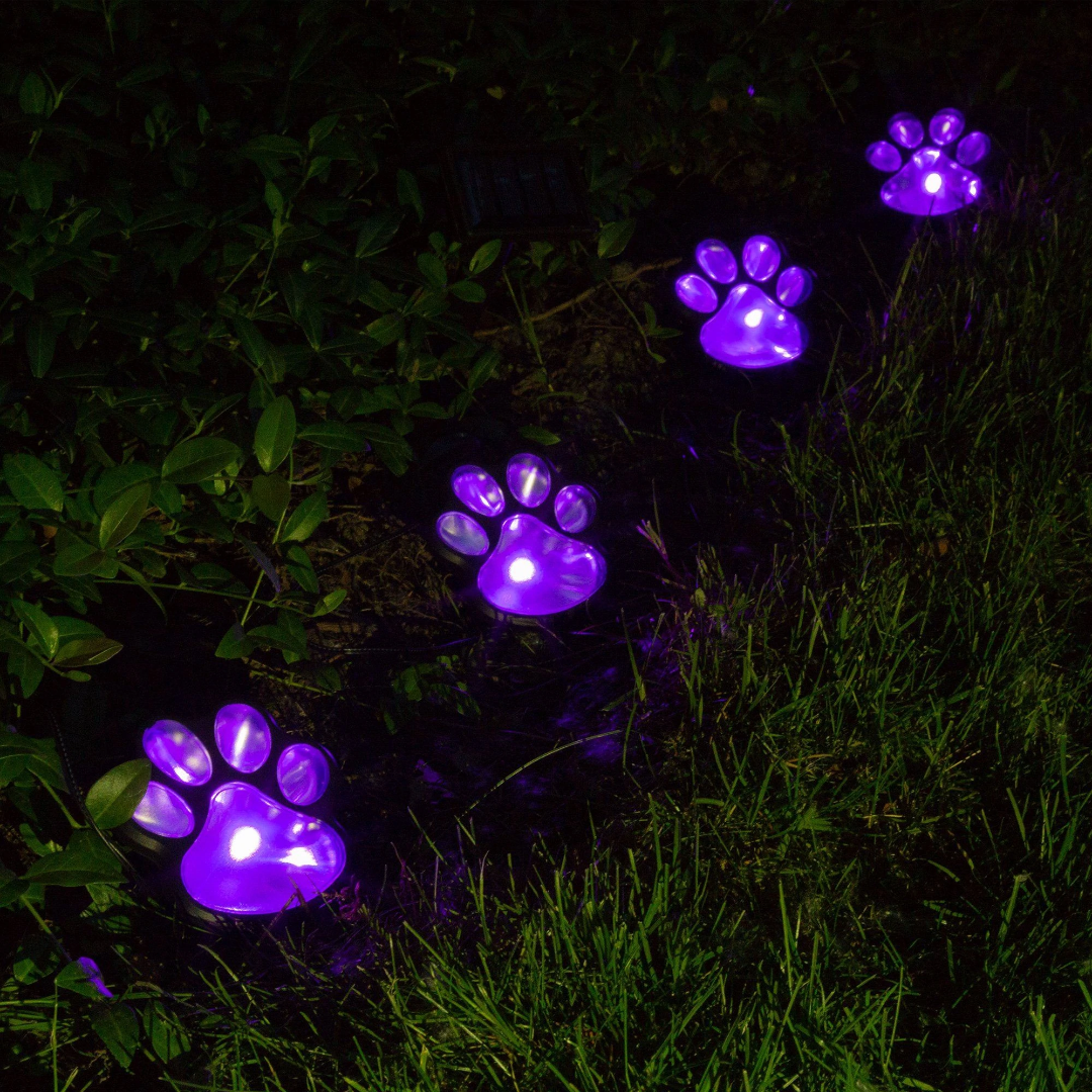 Skorter | Pawlight - Solar Garden Lighting
