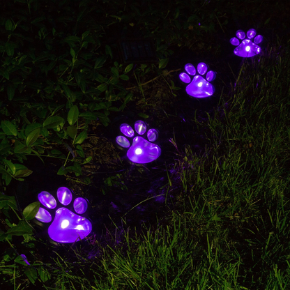 Skorter | Pawlight - Solar Garden Lighting