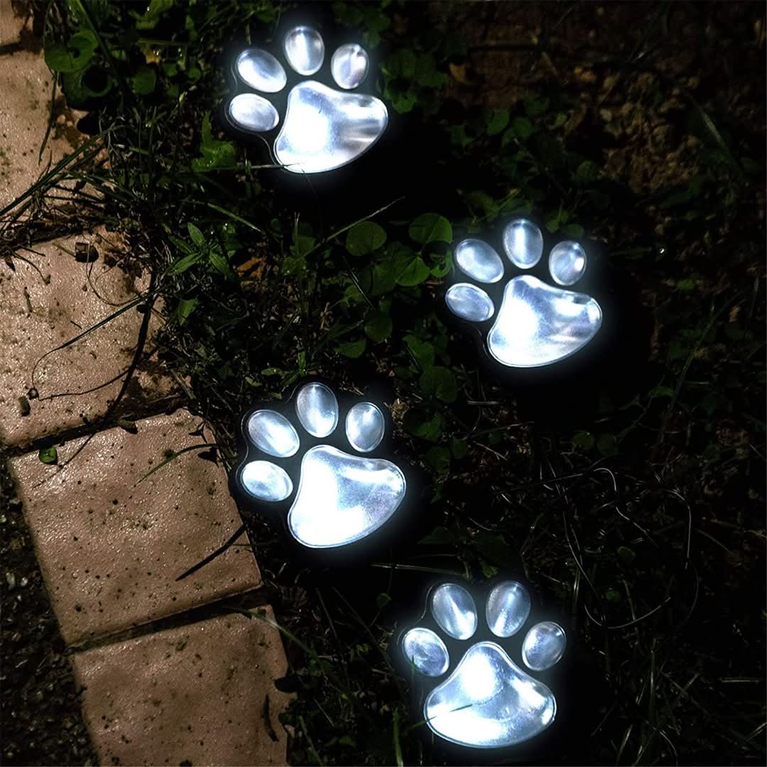 Skorter | Pawlight - Solar Garden Lighting