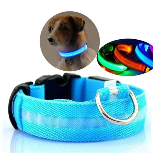 Skorter | GlowPets LED-halsband – Säkerhet och synlighet för husdjur
