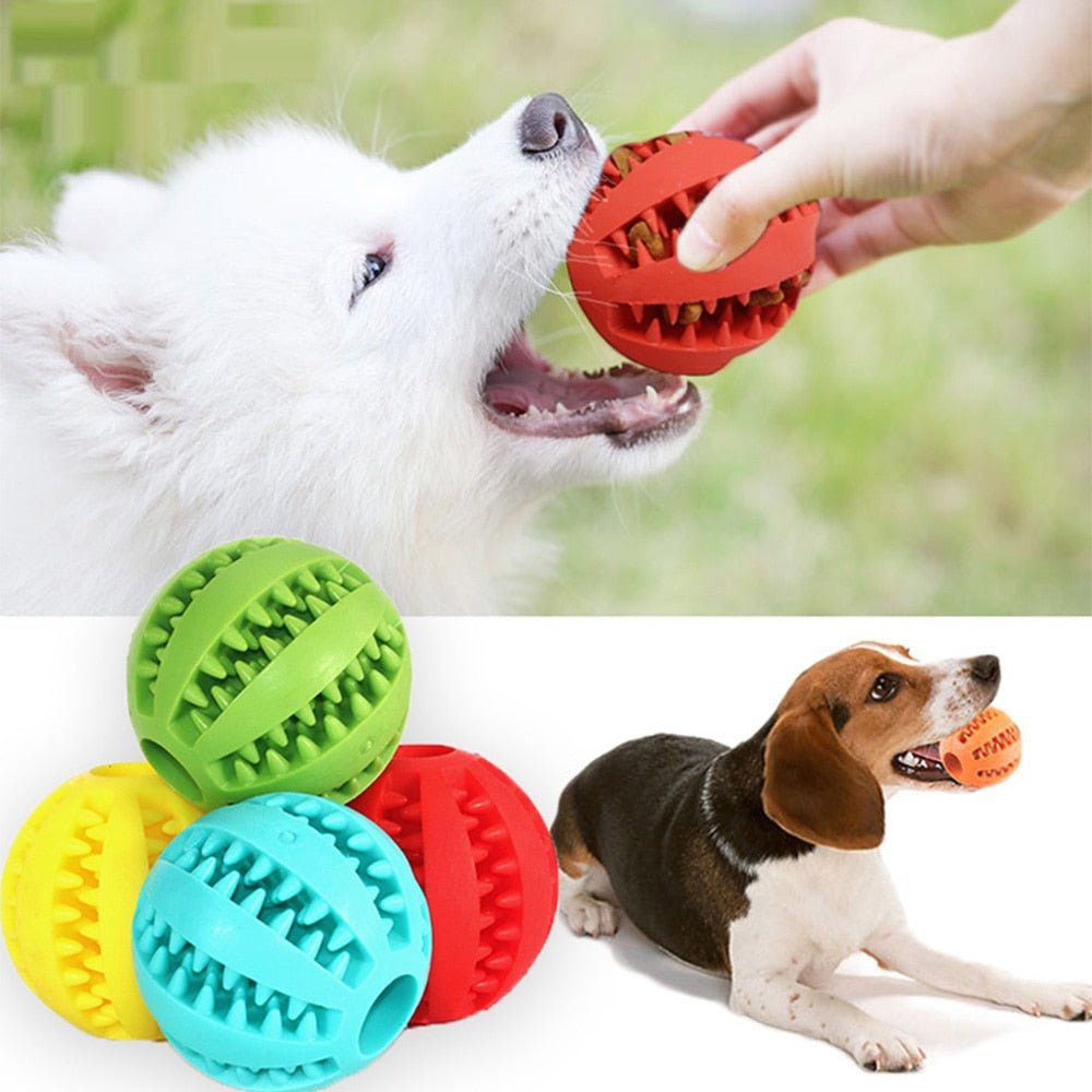 Skorter | BITEFUN – Interactive Dog Toy with Dental Care Function