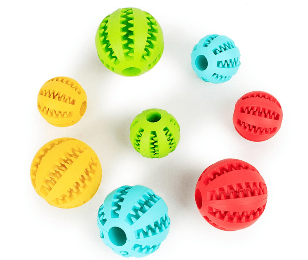 Skorter | BITEFUN – Interactive Dog Toy with Dental Care Function