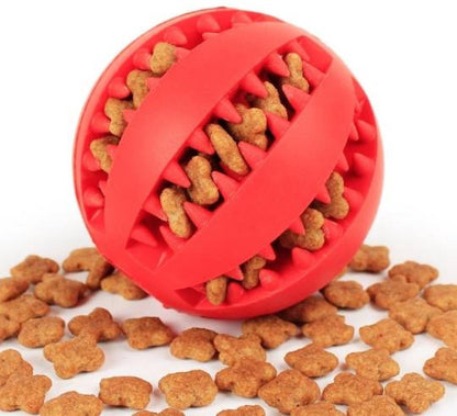 Skorter | BITEFUN – Interactive Dog Toy with Dental Care Function