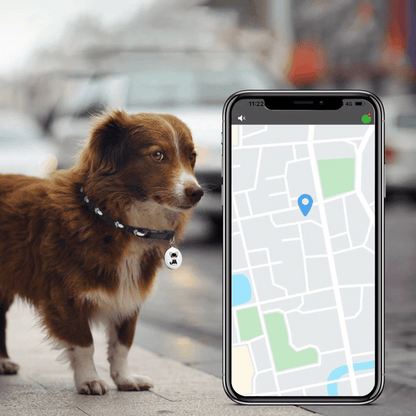 Skorter | Pet GPS Tracker - Dogs And Cats - Android And iOS