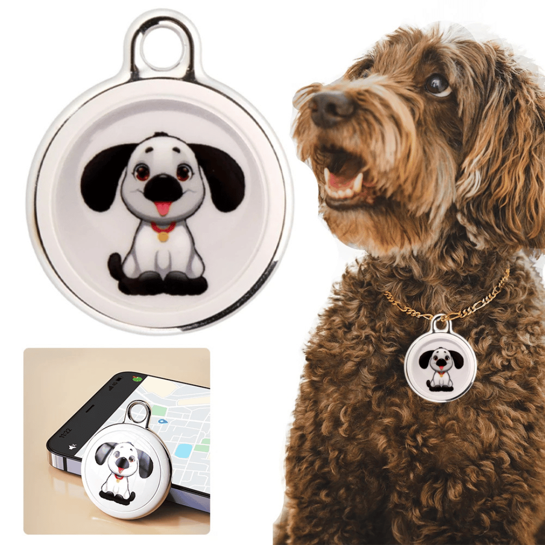 Skorter | Pet GPS Tracker - Dogs And Cats - Android And iOS