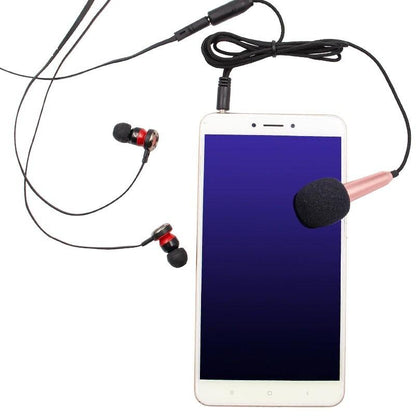 Skorter | 3.5mm Karaoke Microphone