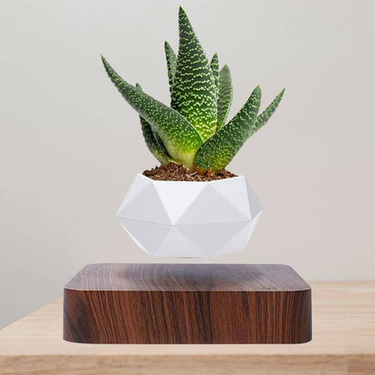 Skorter | Magnetic Levitating Flower Pot with LED Light - Floating Planter for Home Decor & Unique Gifts