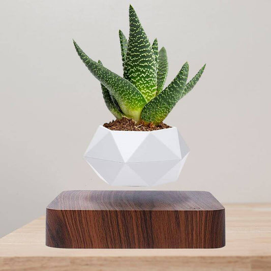 Skorter | Magnetic Levitating Flower Pot with LED Light - Floating Planter for Home Decor & Unique Gifts