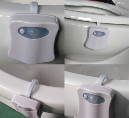 Motion Sensor Toilet Bowl Lights