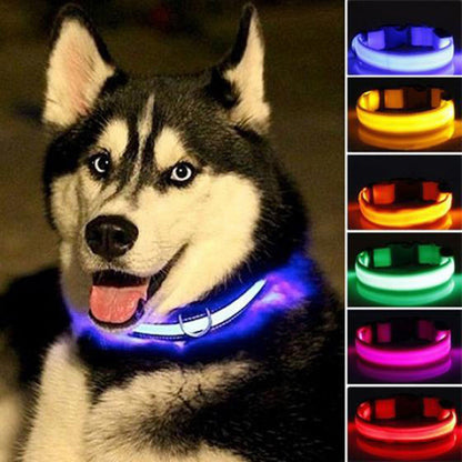 Skorter | LED Dog Collar - 5 Pieces Set