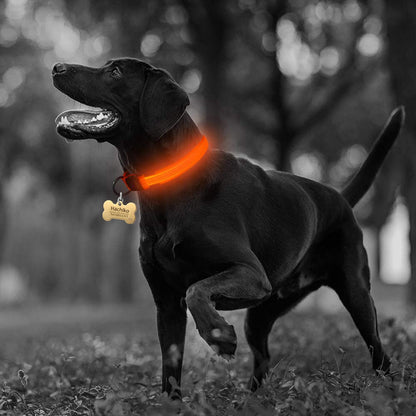Skorter | LED Dog Collar - 5 Pieces Set