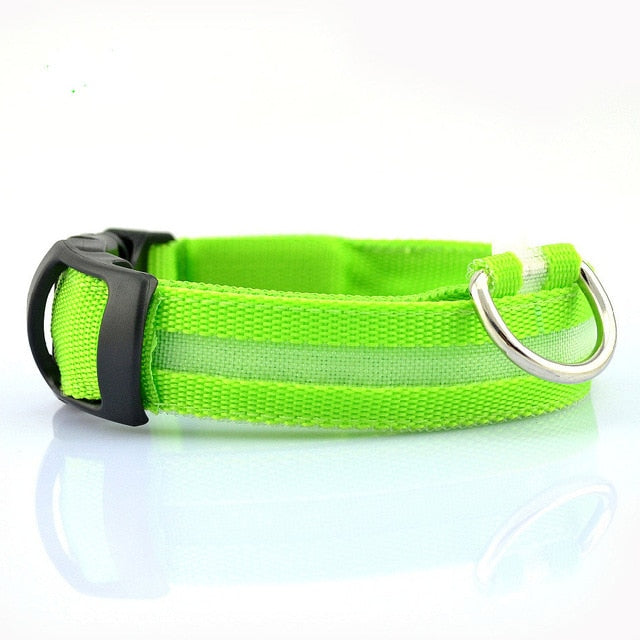 Skorter | LED Dog Collar - 5 Pieces Set