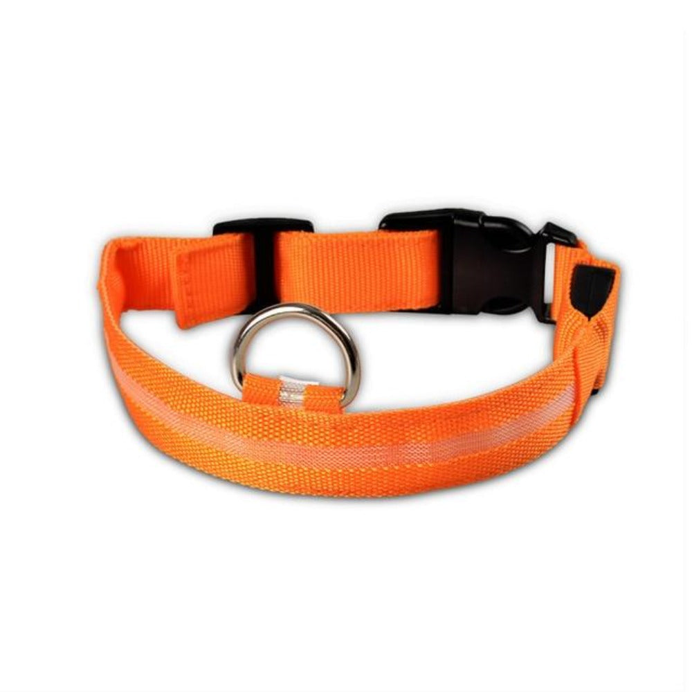 Skorter | PCS Set Nylon LED Dog Collar