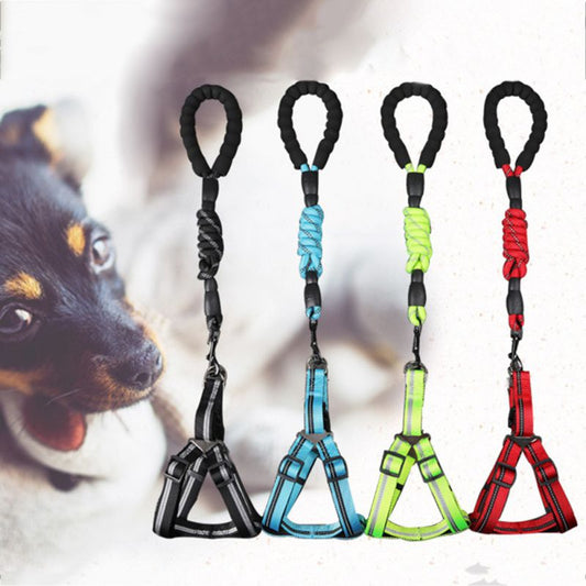 Skorter | Dog Leash with Padded Handle