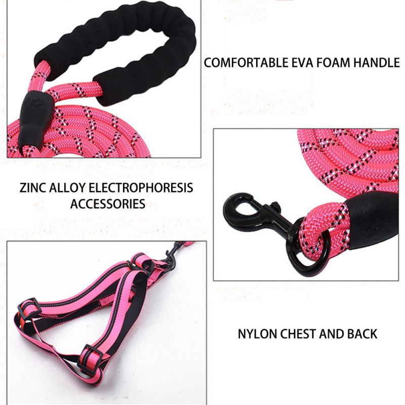 Skorter | Dog Leash with Padded Handle