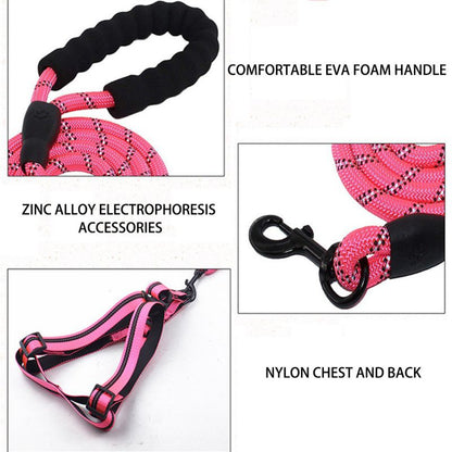 Skorter | Dog Leash with Padded Handle