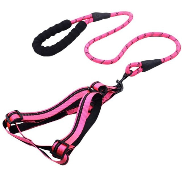 Skorter | Dog Leash with Padded Handle