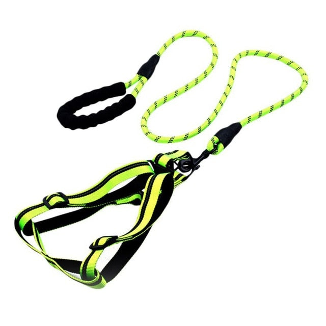 Skorter | Dog Leash with Padded Handle
