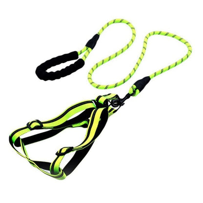 Skorter | Dog Leash with Padded Handle