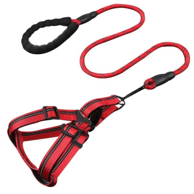 Skorter | Dog Leash with Padded Handle