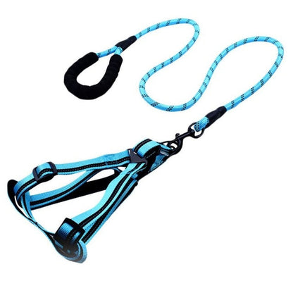 Skorter | Dog Leash with Padded Handle