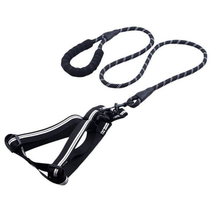 Skorter | Dog Leash with Padded Handle