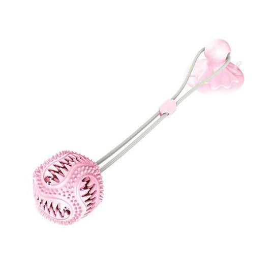 Skorter | Chewing Toy with Suction Cup