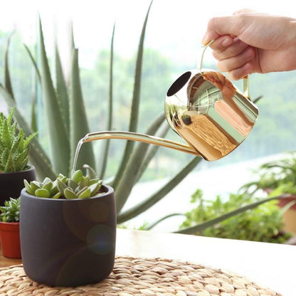 Skorter | AquaGrace Stainless Steel Watering Can with Flexible Neck | Modern Design | Perfect Watering | Rustproof