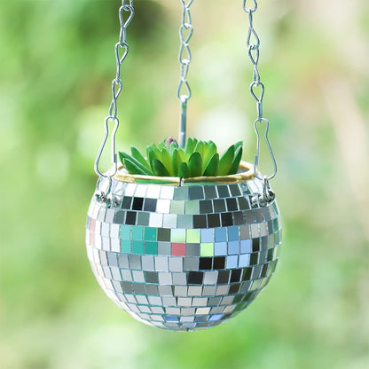 Skorter | Disco Ball Plant