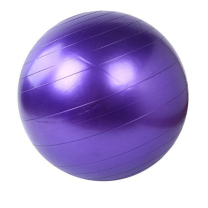 Skorter | Exercise Fitness Yoga Ball