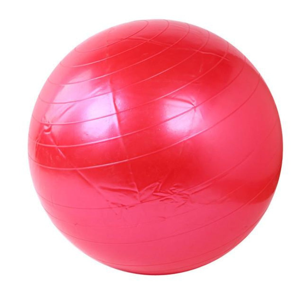 Skorter | Exercise Fitness Yoga Ball