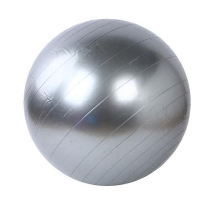 Skorter | Exercise Fitness Yoga Ball
