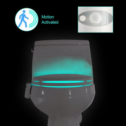 Motion Sensor Toilet Bowl Lights