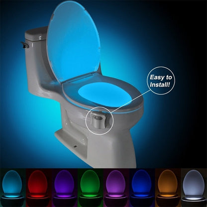 Motion Sensor Toilet Bowl Lights