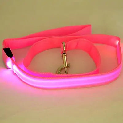 Skorter | Leash for dogs glow in the dark