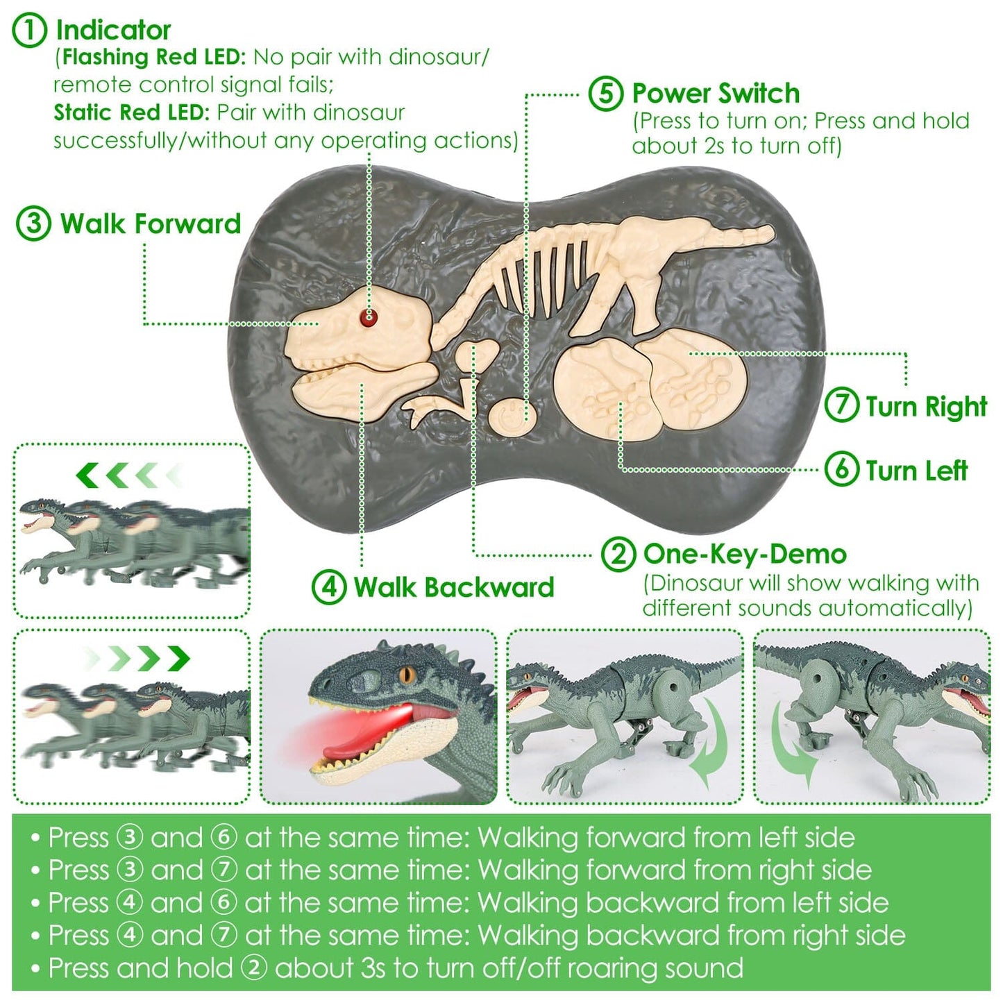 Skorter | Remote-Controlled Dinosaur with 3D Eye Roaring Sounds for 3-12 Years Old